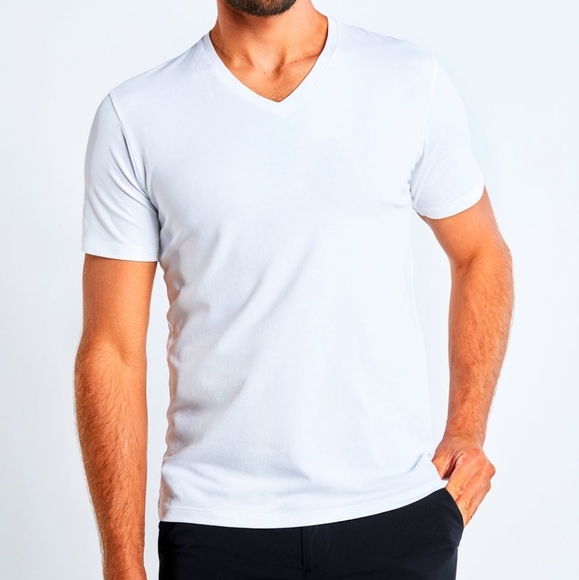 Anatomie Men's Vince T-shirt NWT Small - Picture 1 of 8